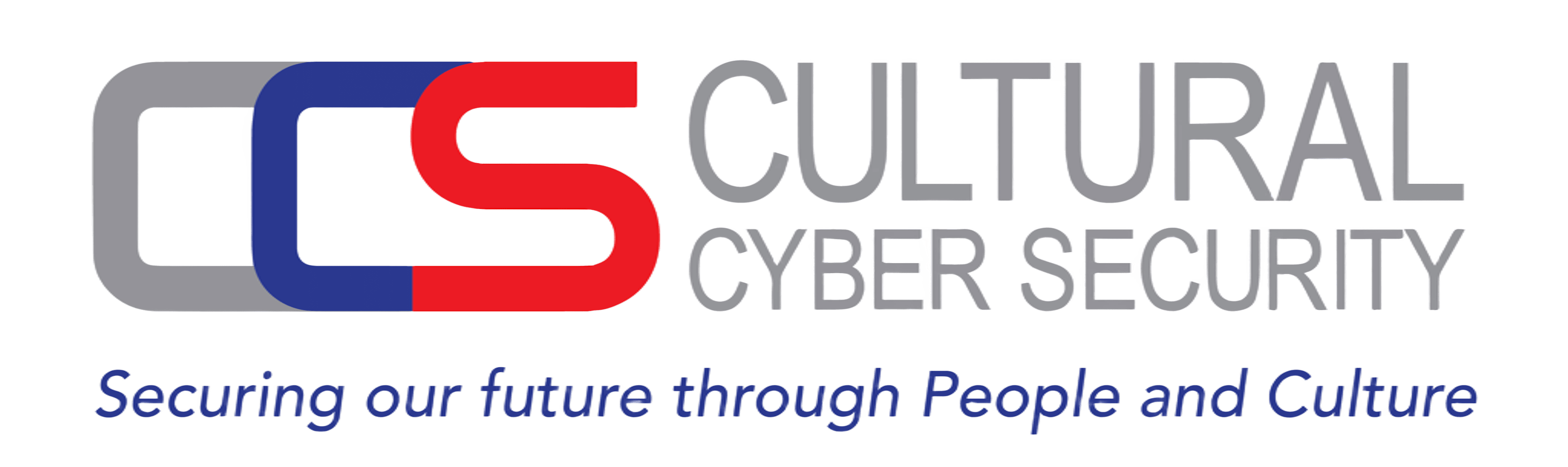 Cultural Cyber Security